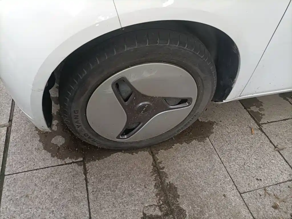 Ora White Cat 2020 2020 360km Luxury Model