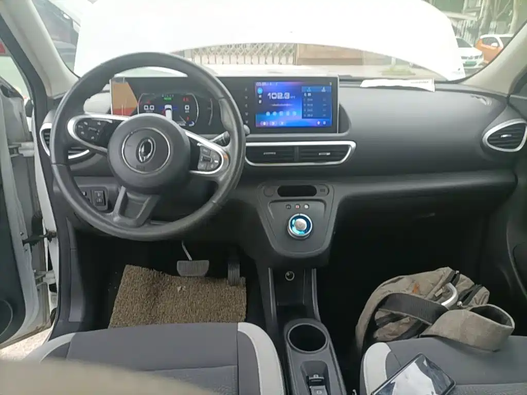 Ora White Cat 2020 2020 360km Luxury Model