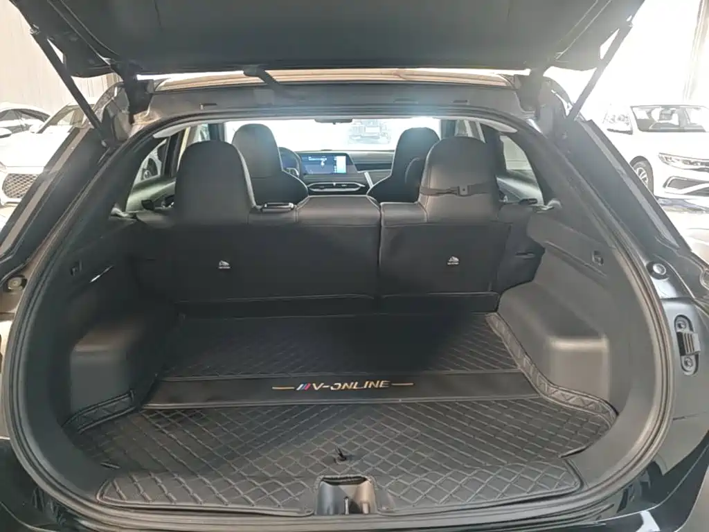 Venucia DaV DD-i 2024 2023 110km iE Edition