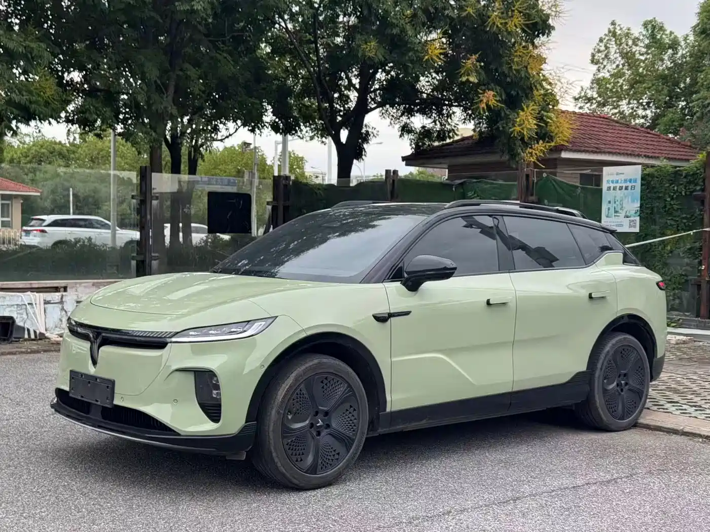 Voyah Auto Voyah Zhiyin