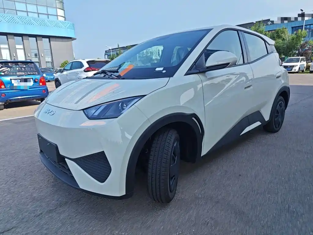 BYD Seagull 2026 2025 305km Vitality