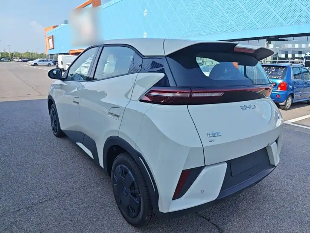 BYD Seagull 2026 2025 305km Vitality