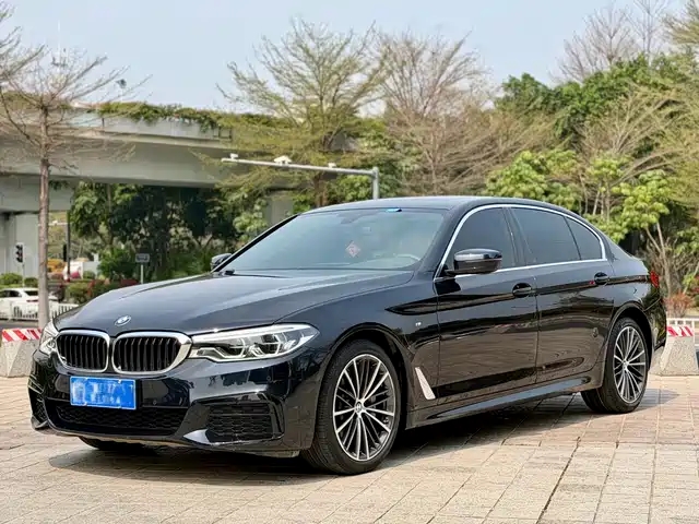 BMW 5 SERIES