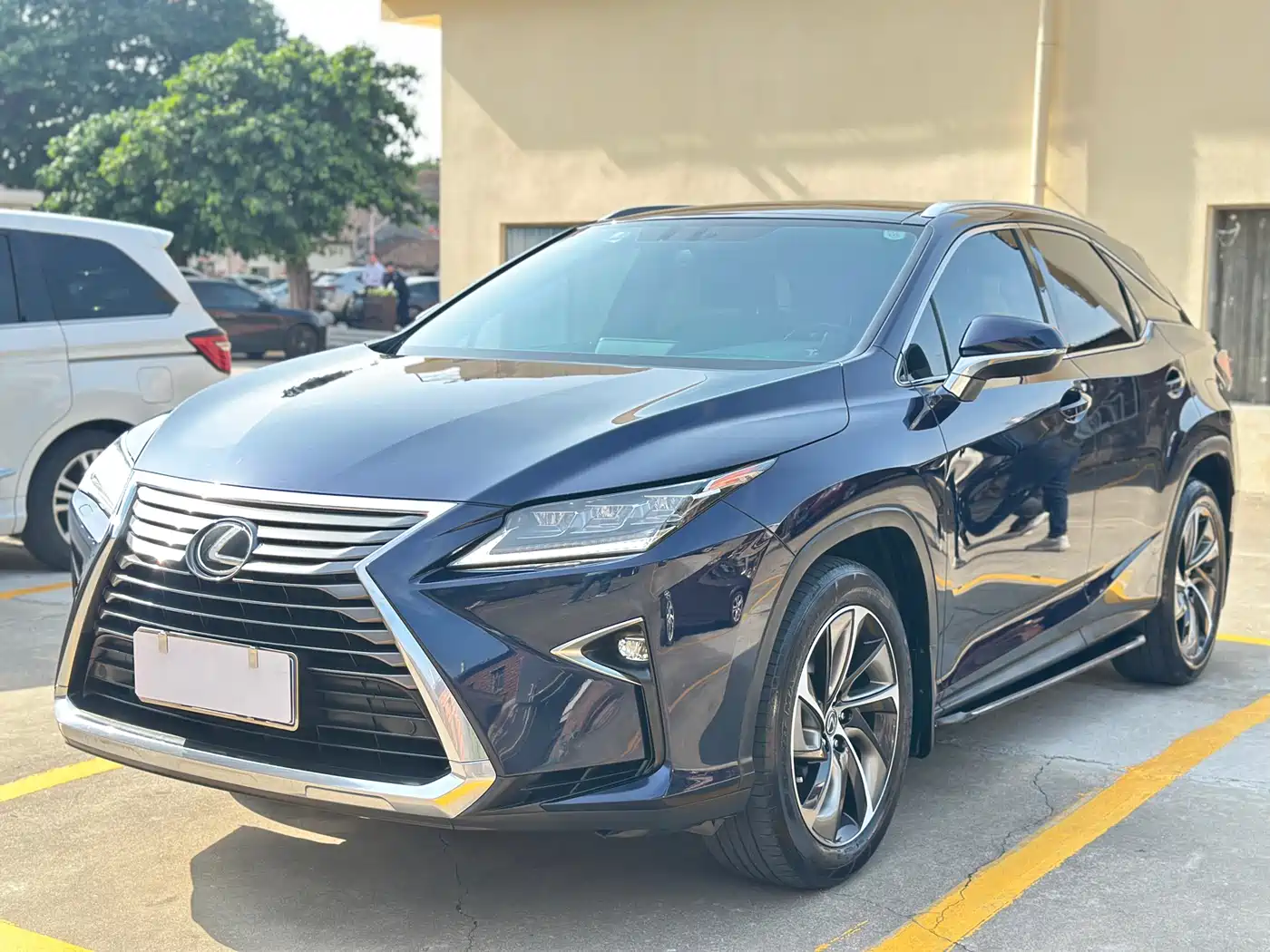 Lexus RX 2016 300 4WD Elegance Edition (China V)