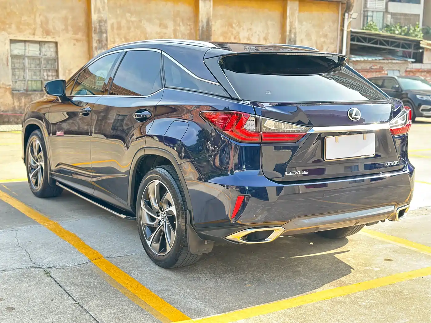 Lexus RX 2016 300 4WD Elegance Edition (China V) фото 20