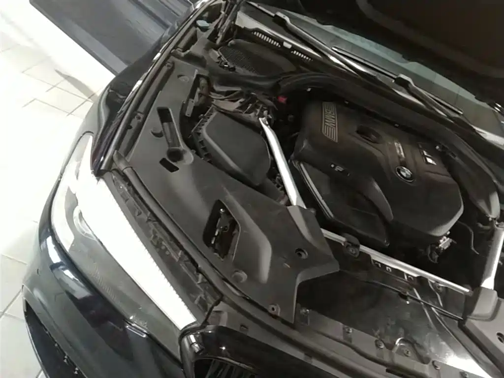 BMW 5 Series 2019 530Li Leading M Sport Package фото 24