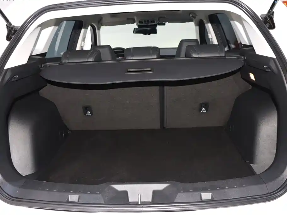 Haval H6 2020 1.5GDIT Automatic Platinum Luxury Edition фото 17