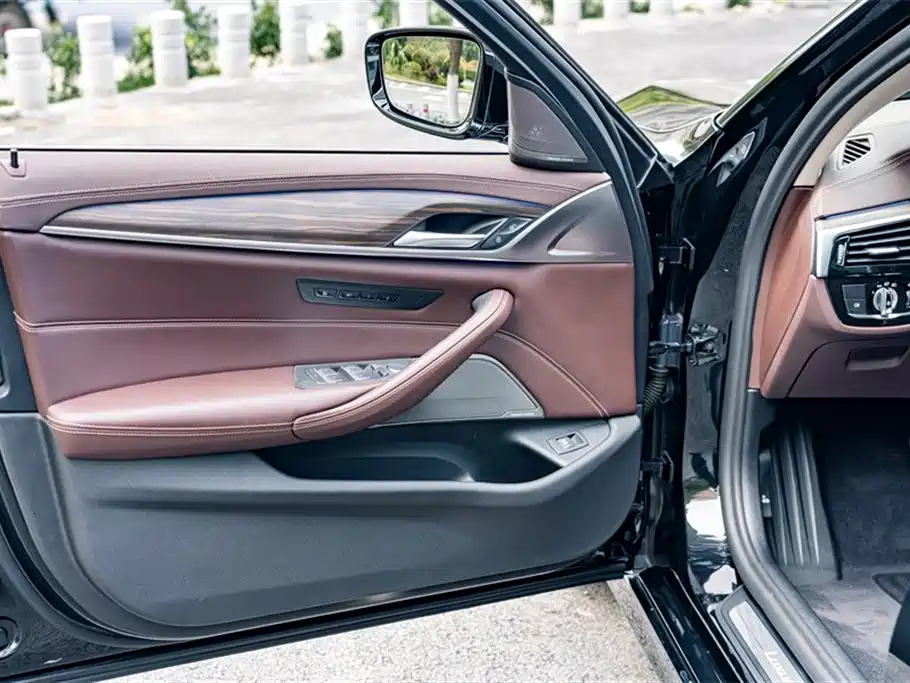 BMW 5 Series 2020 530Li Premium Luxury Package фото 18