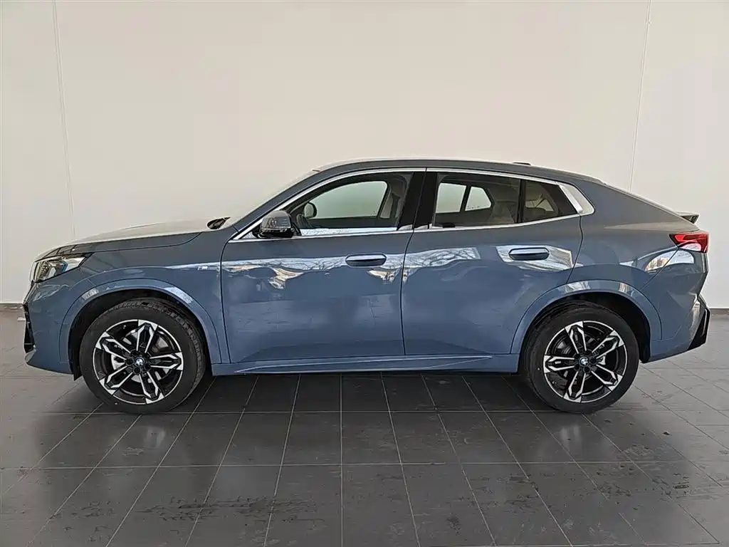 BMW X2 (Import) 2024 sDrive25i M Sport Package фото 5