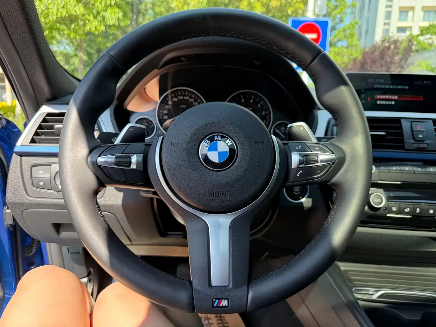 BMW 3 Series 2018 320i M Sport Package фото 10