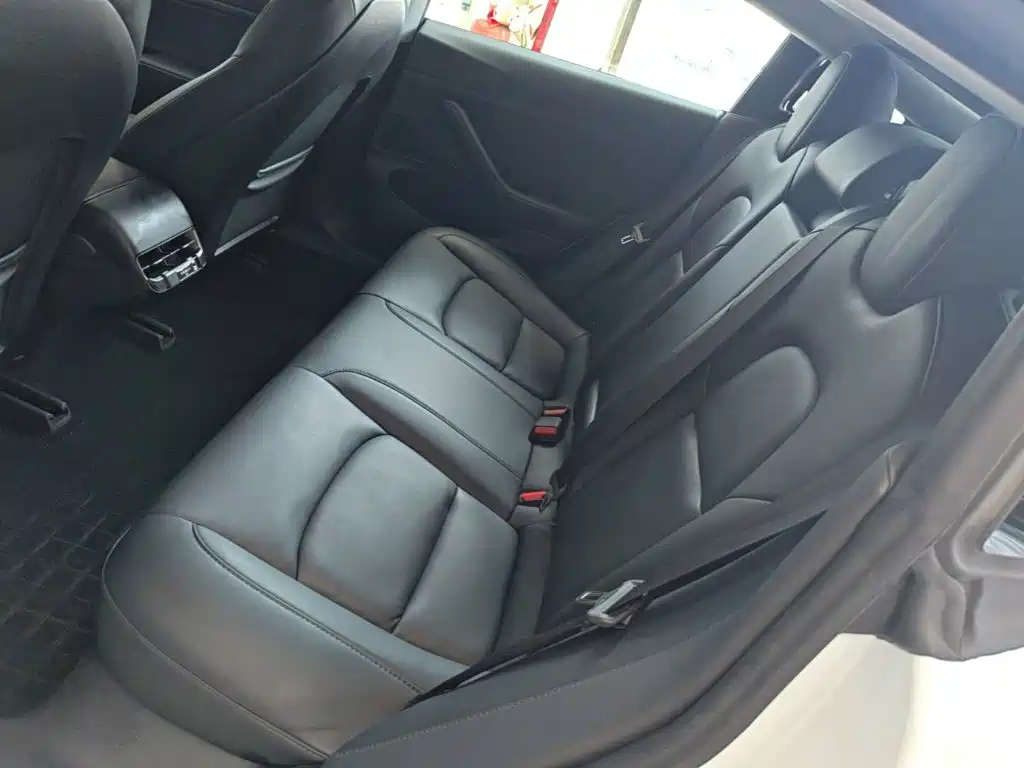 Tesla Model 3 (Import) 2020 2019 Standard Range RWD Upgraded Edition