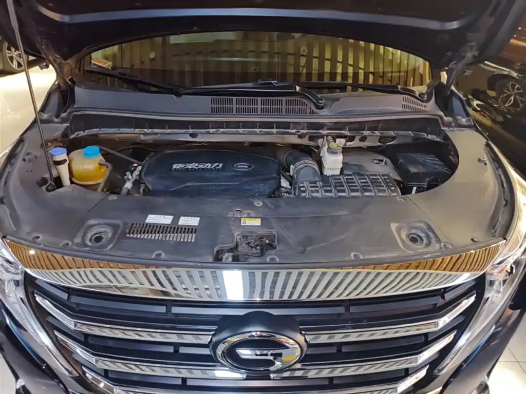 GAC Trumpchi Trumpchi M8 2021 Leading Show Series 390T Premium Edition фото 20