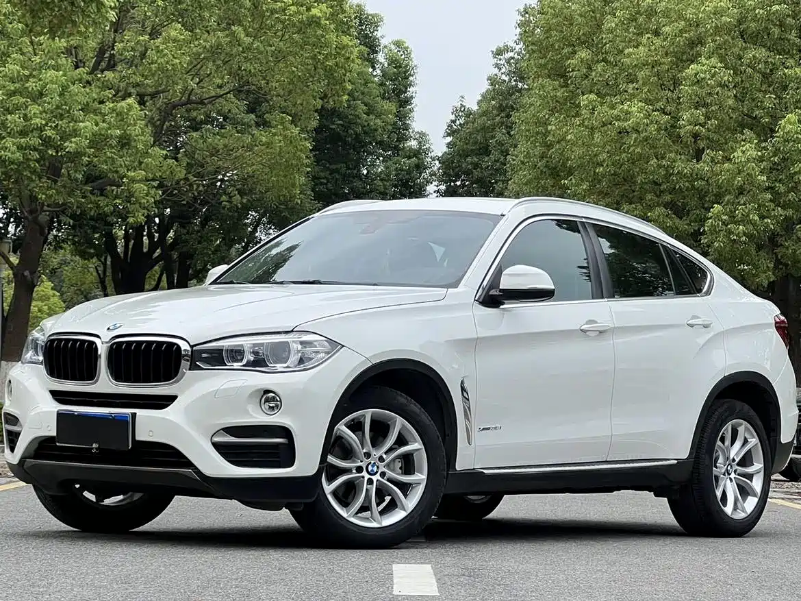 BMW X6 2015 xDrive35i Leading Type