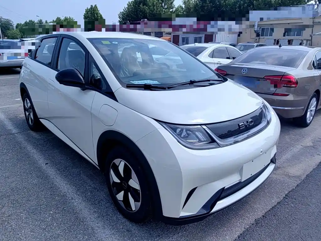 BYD Dolphin 2026 2025 420km Freedom Edition
