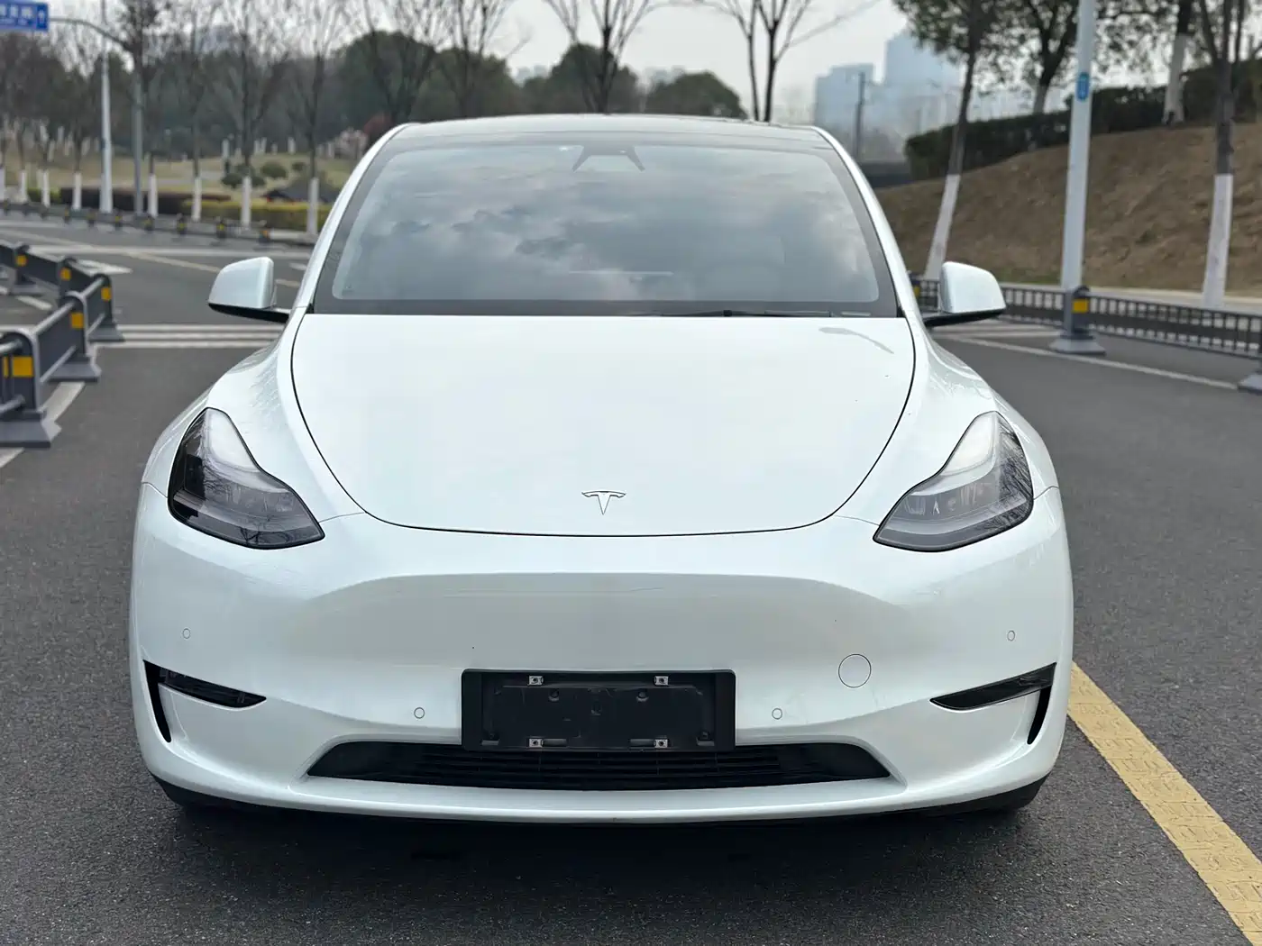 TESLA MODEL Y