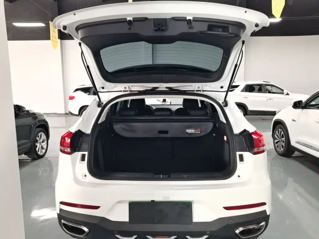 Haval F5 2020 2019 National Trend Edition 1.5T iTrend China VI