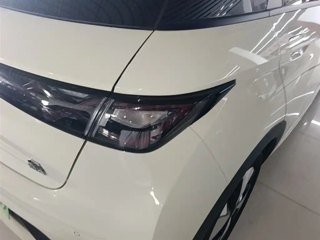 BYD Dolphin 2023 420km Fashion Edition фото 8