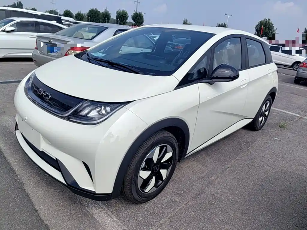 BYD Dolphin 2026 2025 420km Freedom Edition