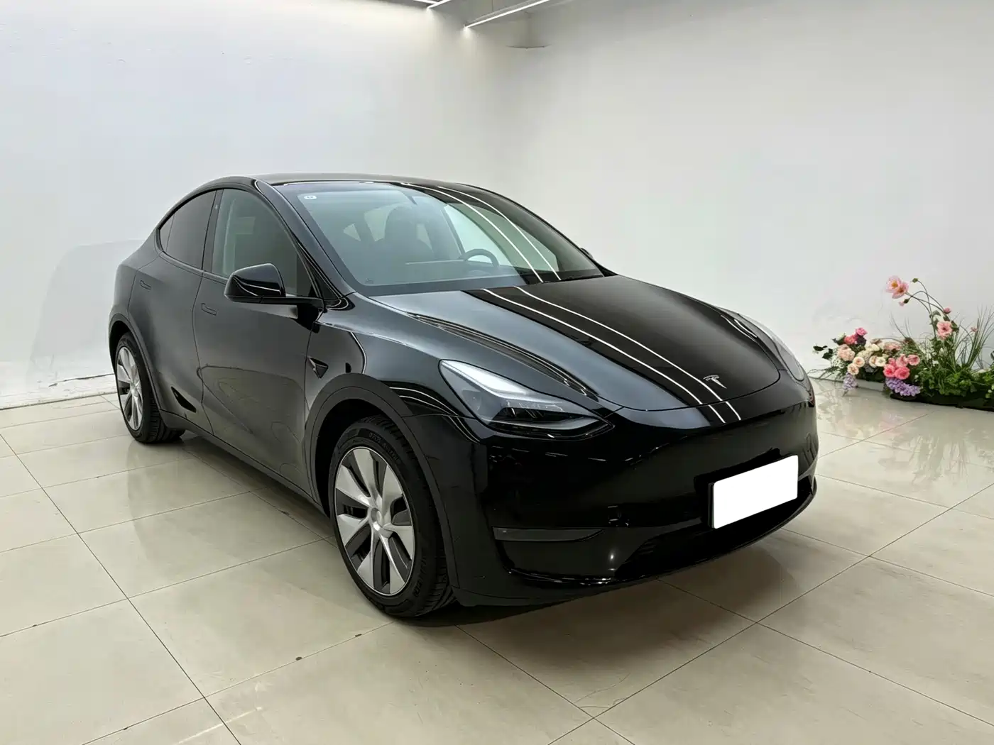 Tesla Model Y 2021 2021 Standard Range Rear-Wheel Drive
