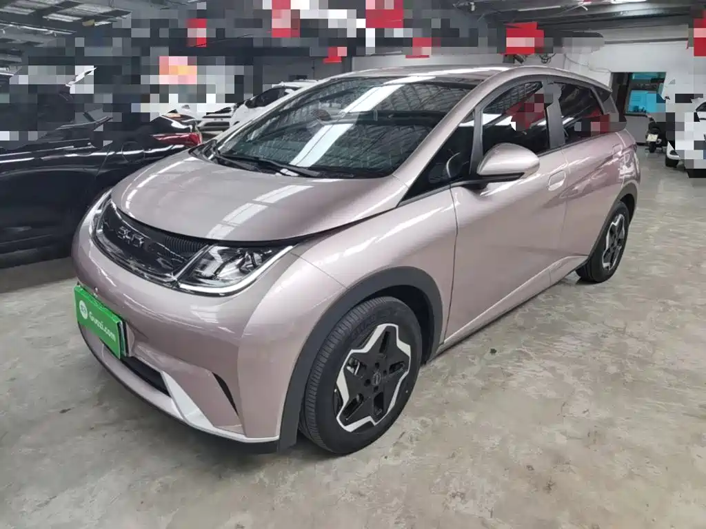 BYD Dolphin 2021