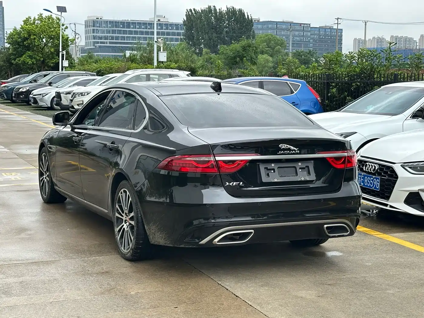 Jaguar XFL 2025 2025 2.0T P250 FWD Luxury Edition