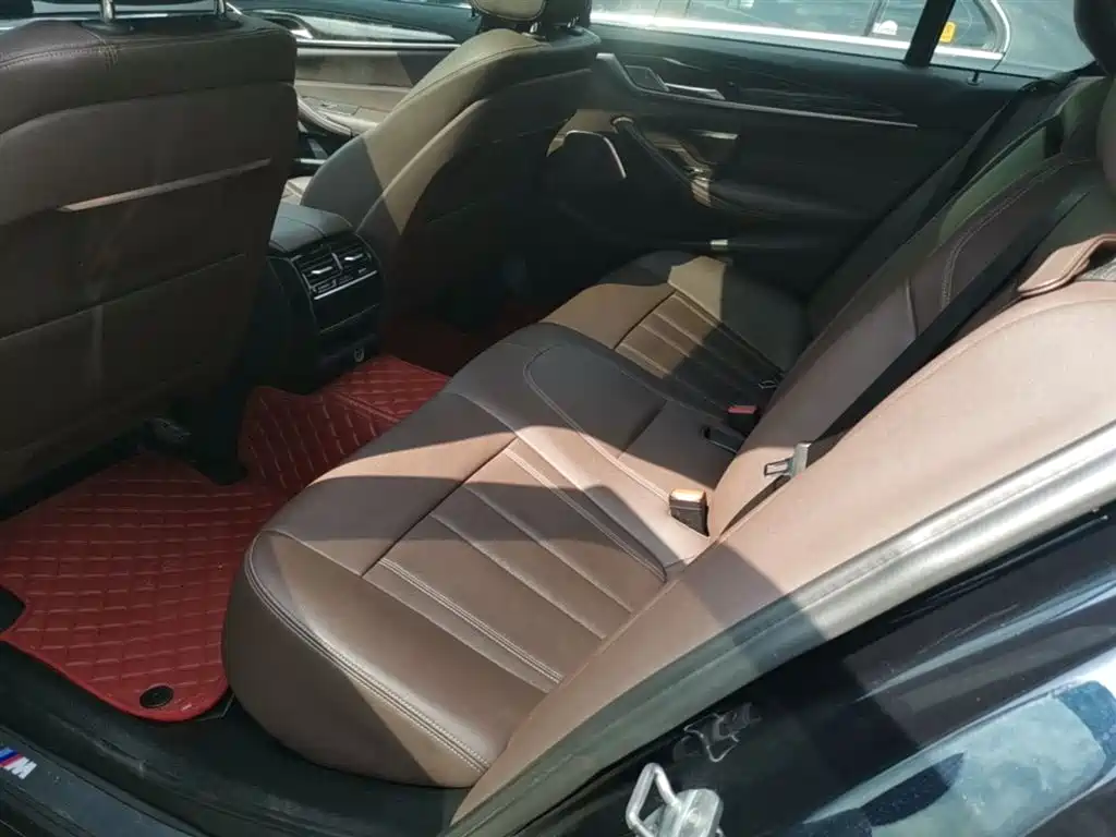 BMW 5 Series 2019 525Li M Sport Package фото 17