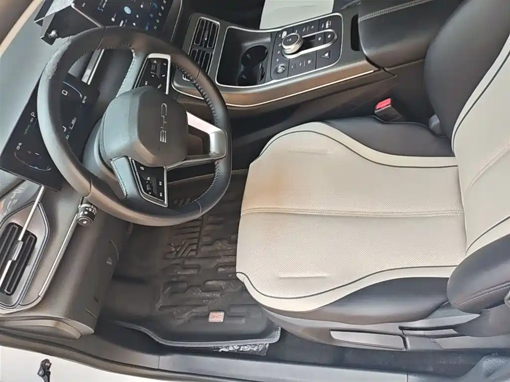 BYD Destroyer 05 2024 Glory Edition DM-i 55KM Luxury фото 16