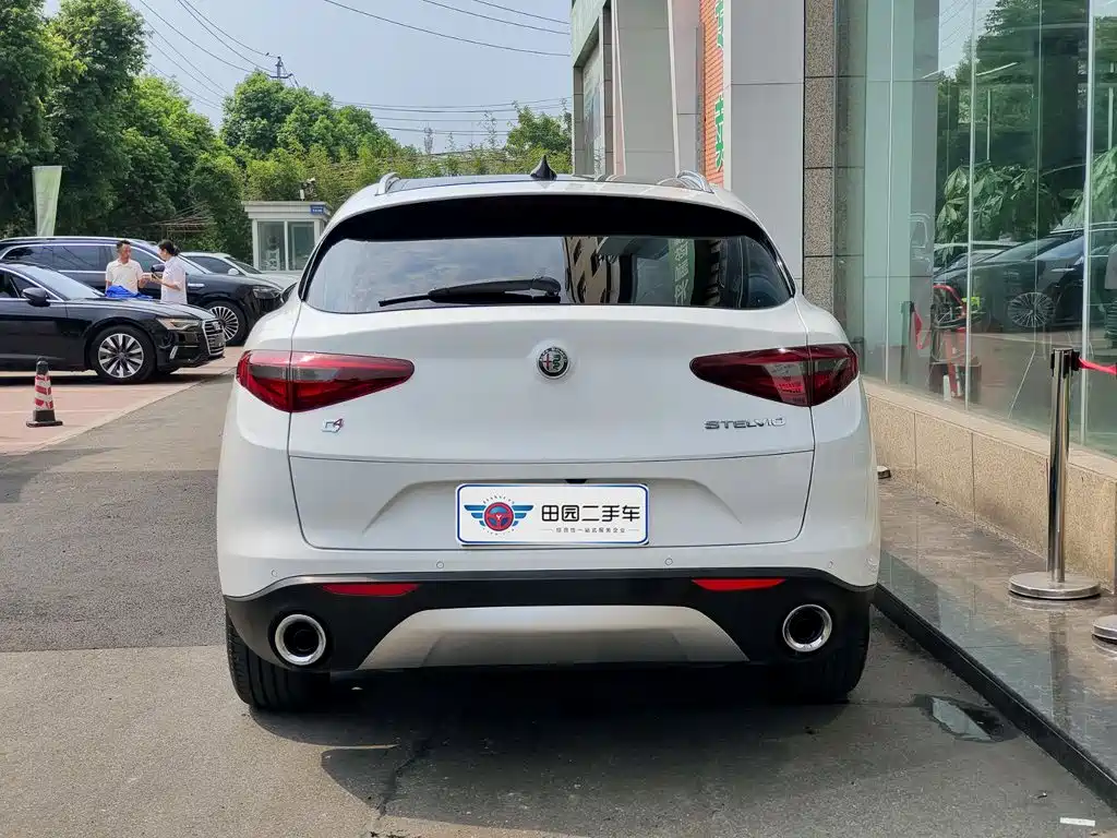 Alfa Romeo Stelvio 2019 2017 2.0T 200HP Luxury Edition