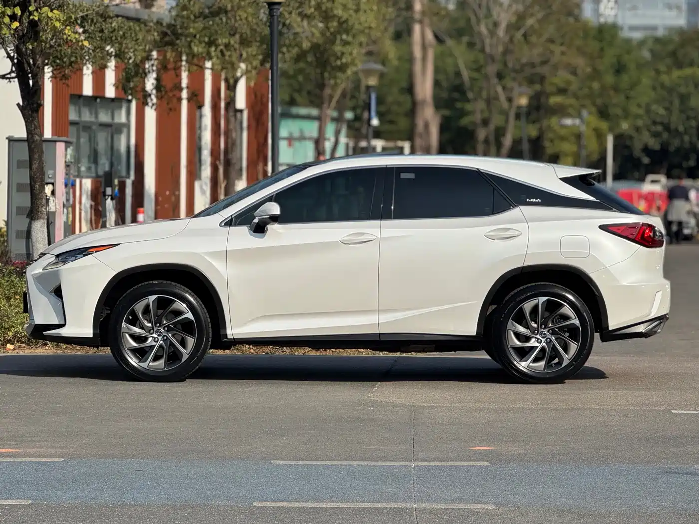 Lexus RX 2016 300 4WD Elegance Edition (China V) фото 3