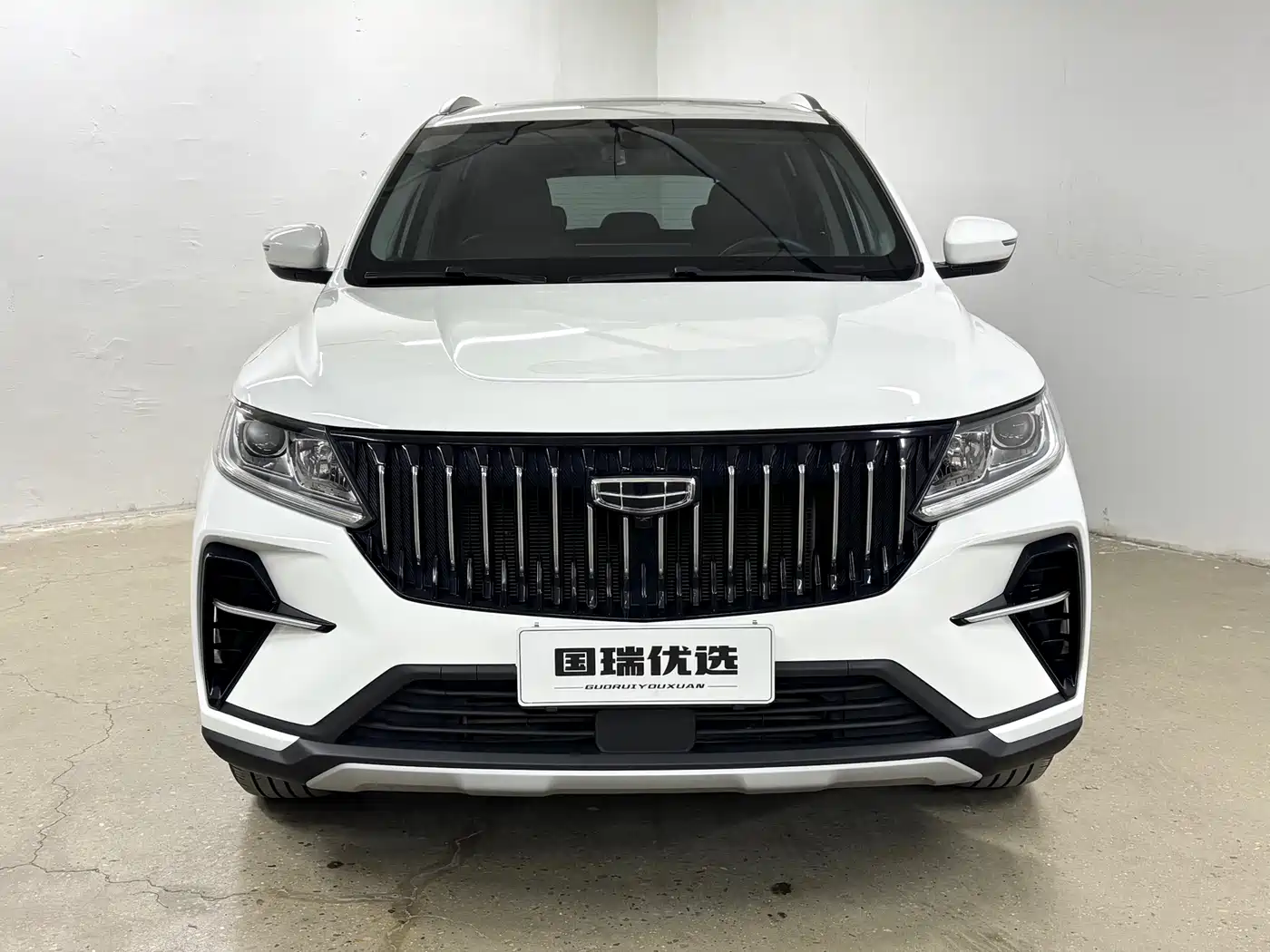 GEELY AUTOMOBILE VISION X6