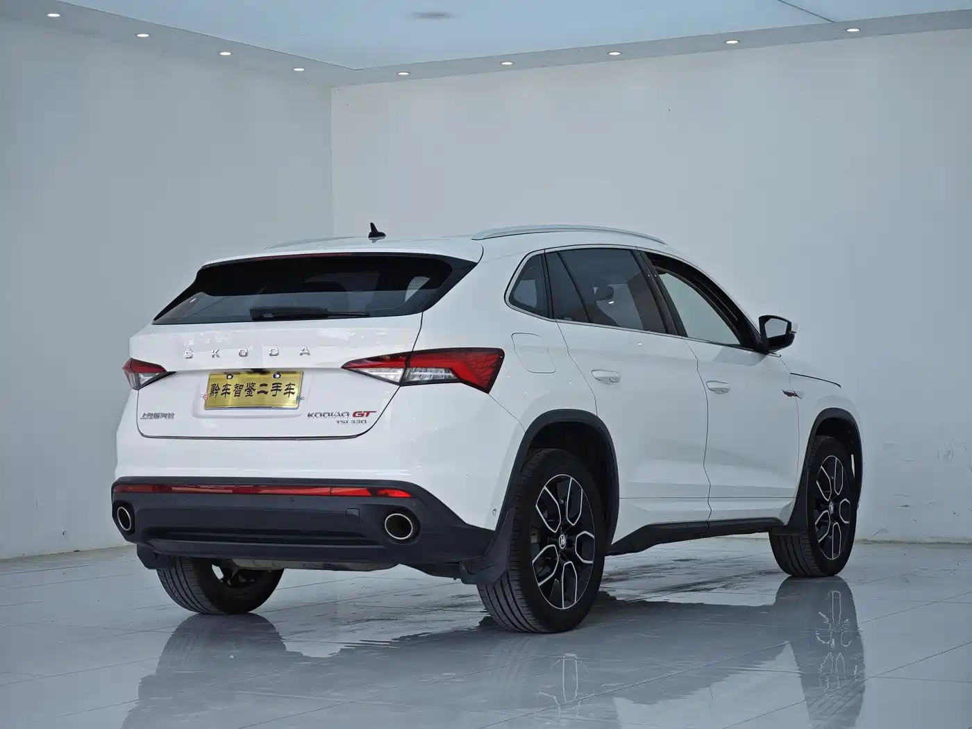 Škoda Kodiaq GT 2019 TSI330 2WD Luxury Edition China VI фото 6