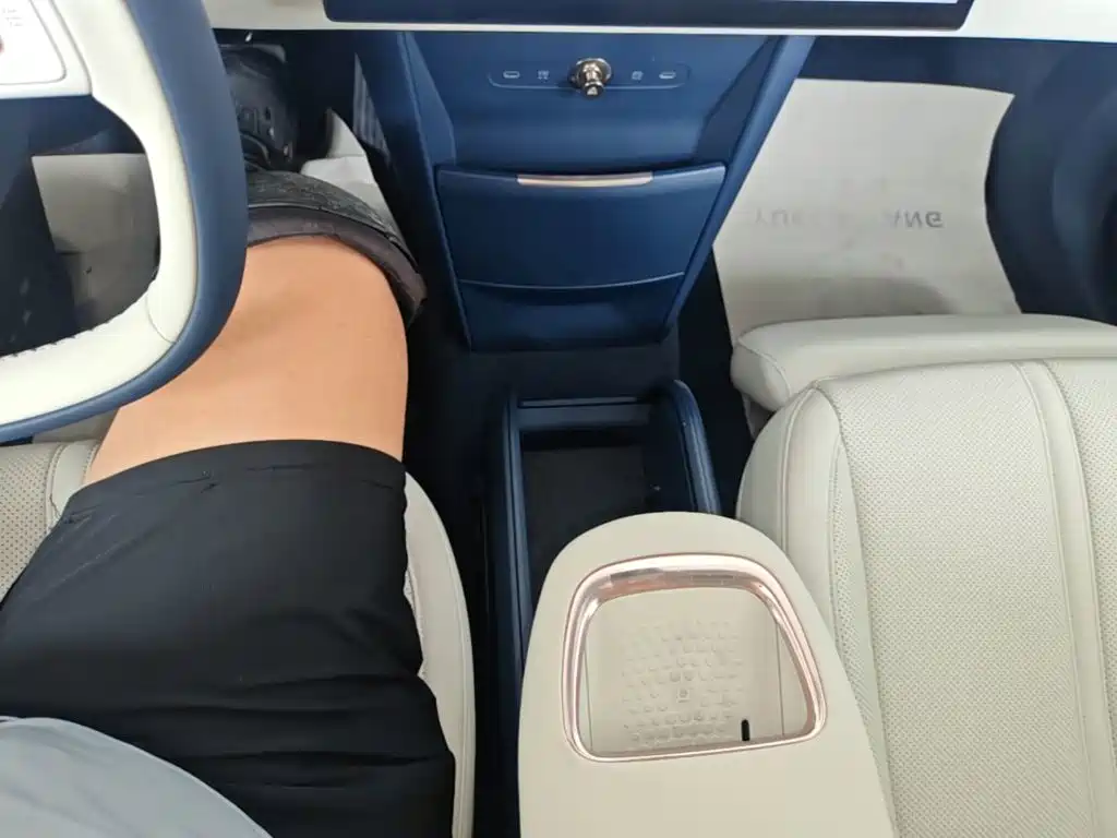 ZEEKR X 2023 2023 AWD YOU Edition 4-Seater