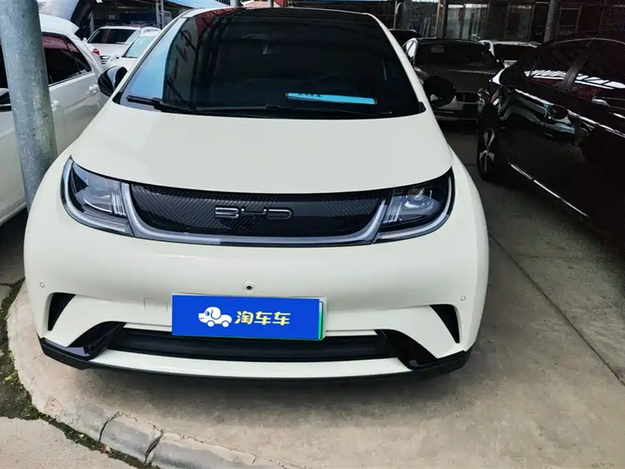 BYD Dolphin 2023 420km Fashion Edition фото 2