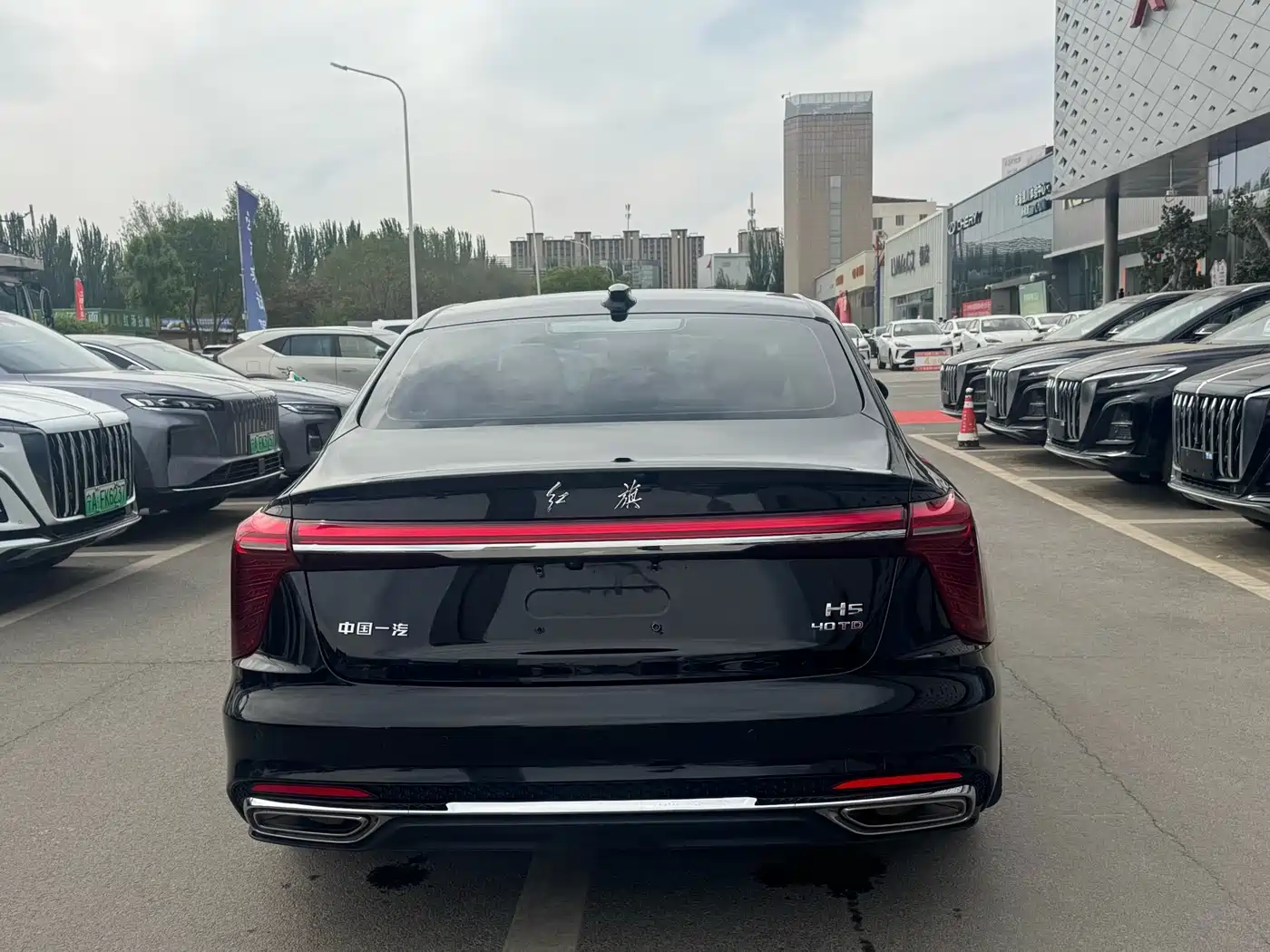 Hongqi H5 2024 2.0T Automatic Smart Connect Flag Smooth Edition фото 6