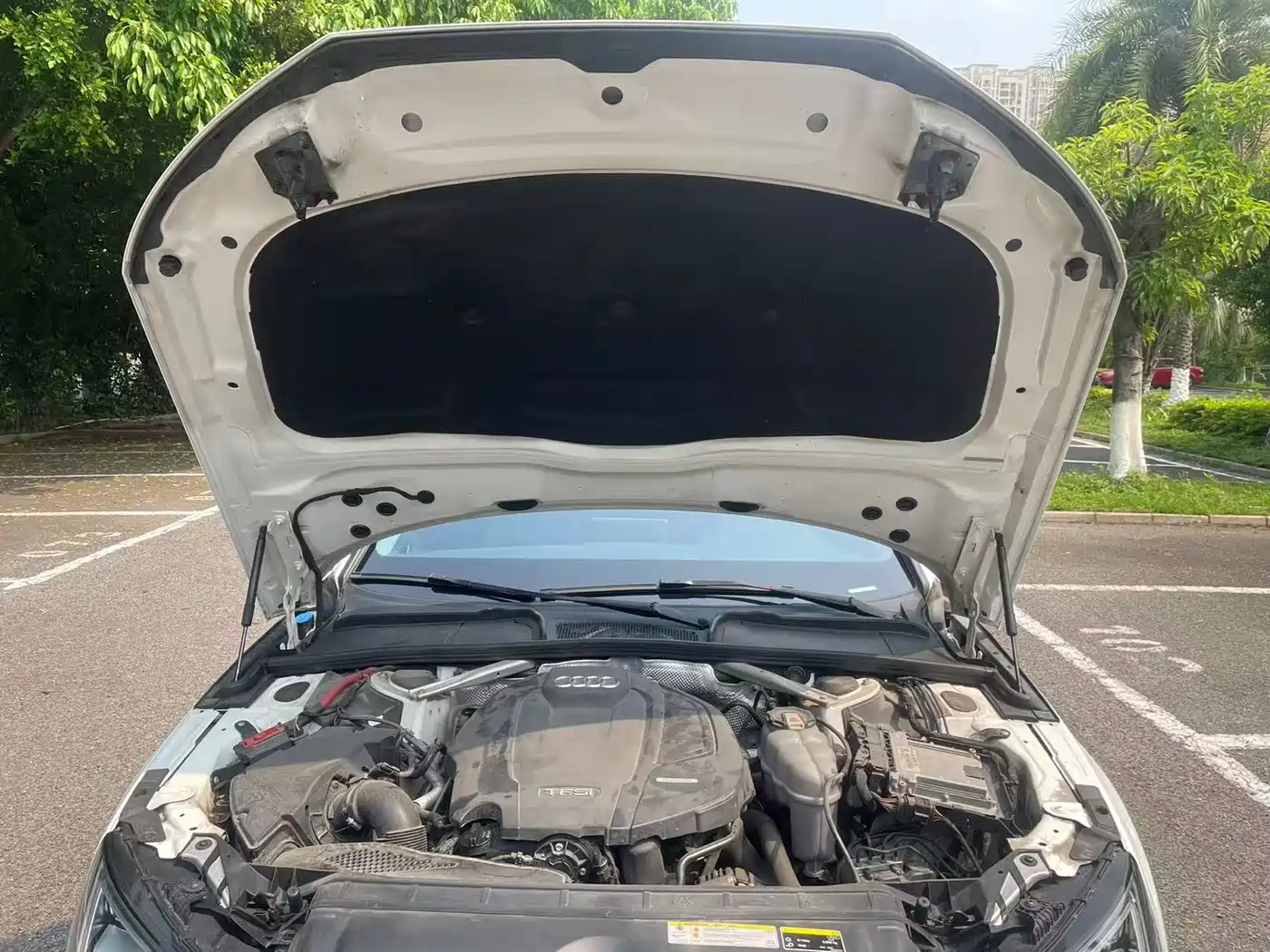 Audi A4L 2019 40 TFSI Fashion (China VI) фото 10