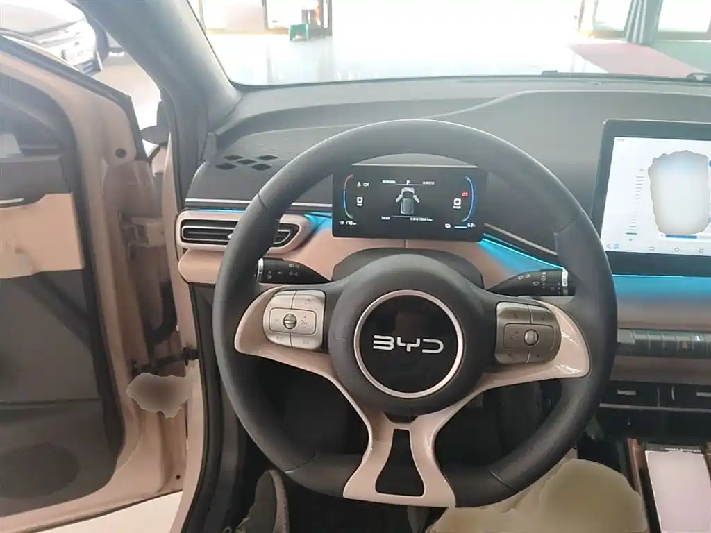 BYD Seagull 2024 Glory Edition 305km Vitality Edition фото 11