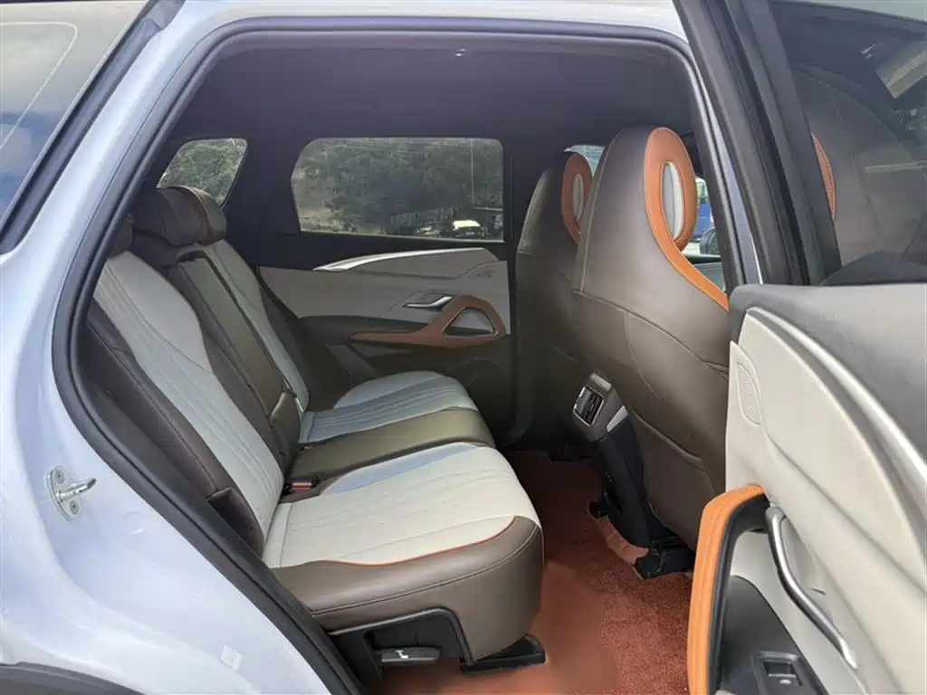 BYD Song Pro New Energy 2022 DM-i 51km Luxury фото 13
