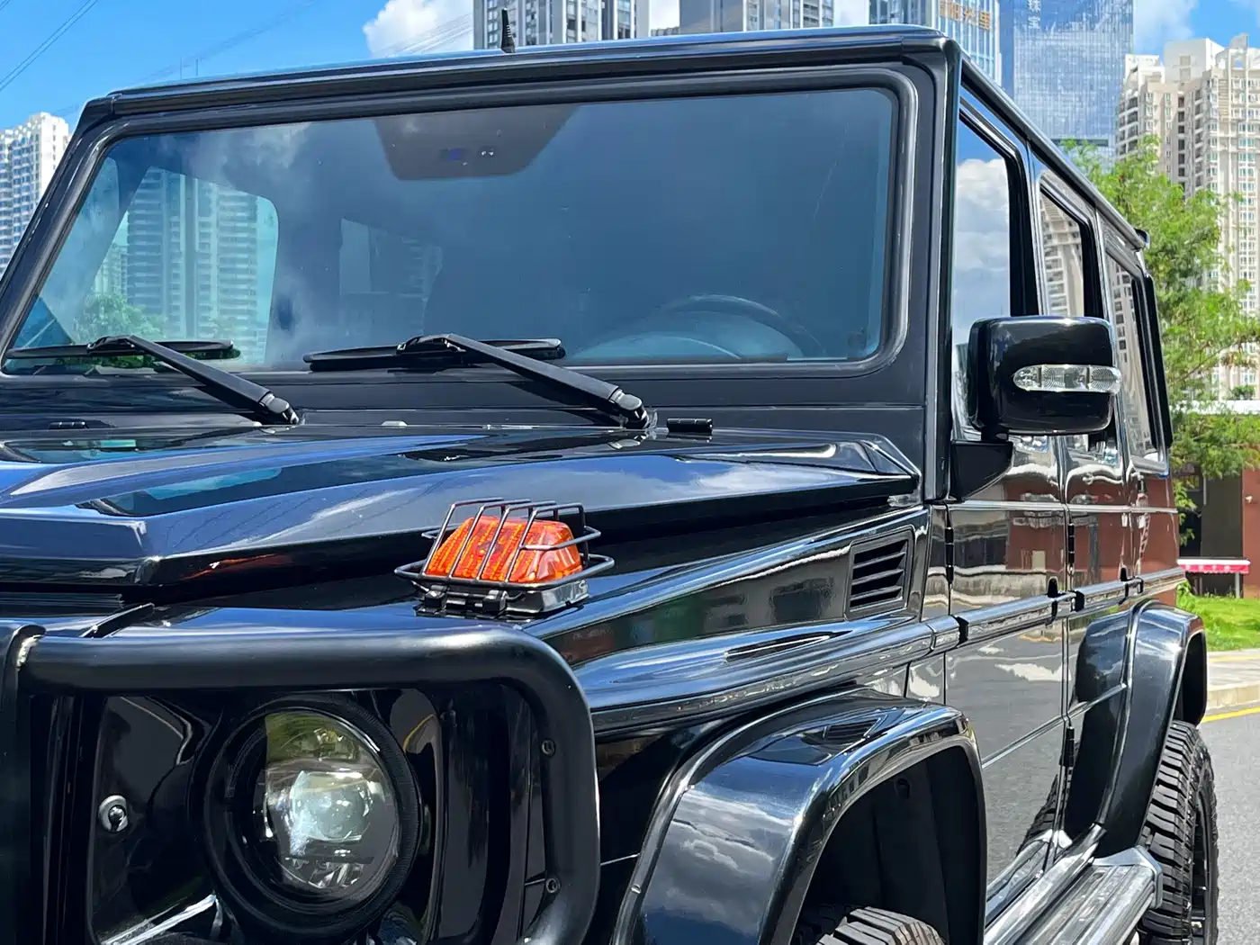 Mercedes-Benz G-Class AMG 2009 AMG G 55 фото 11