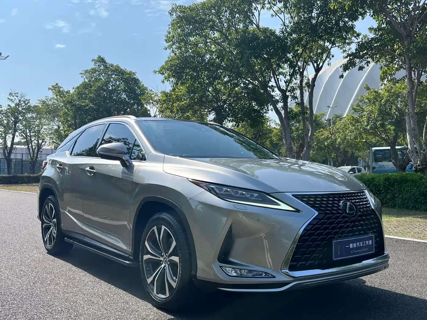 LEXUS RX