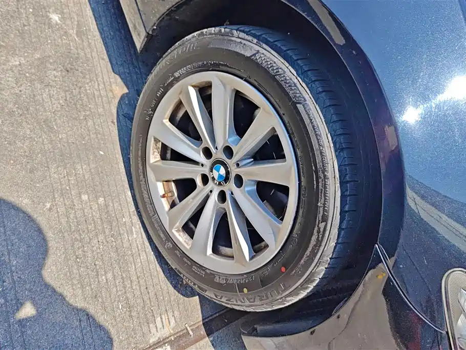 BMW 5 Series 2014 520Li Elegance фото 6