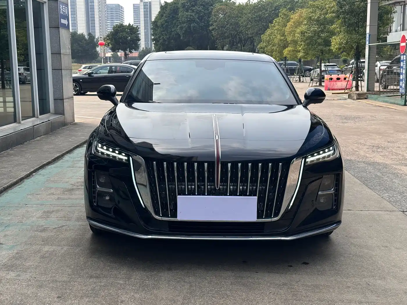 Hongqi H5 2024 1.5T DCT Smart Connect Flag Joy Edition фото 2