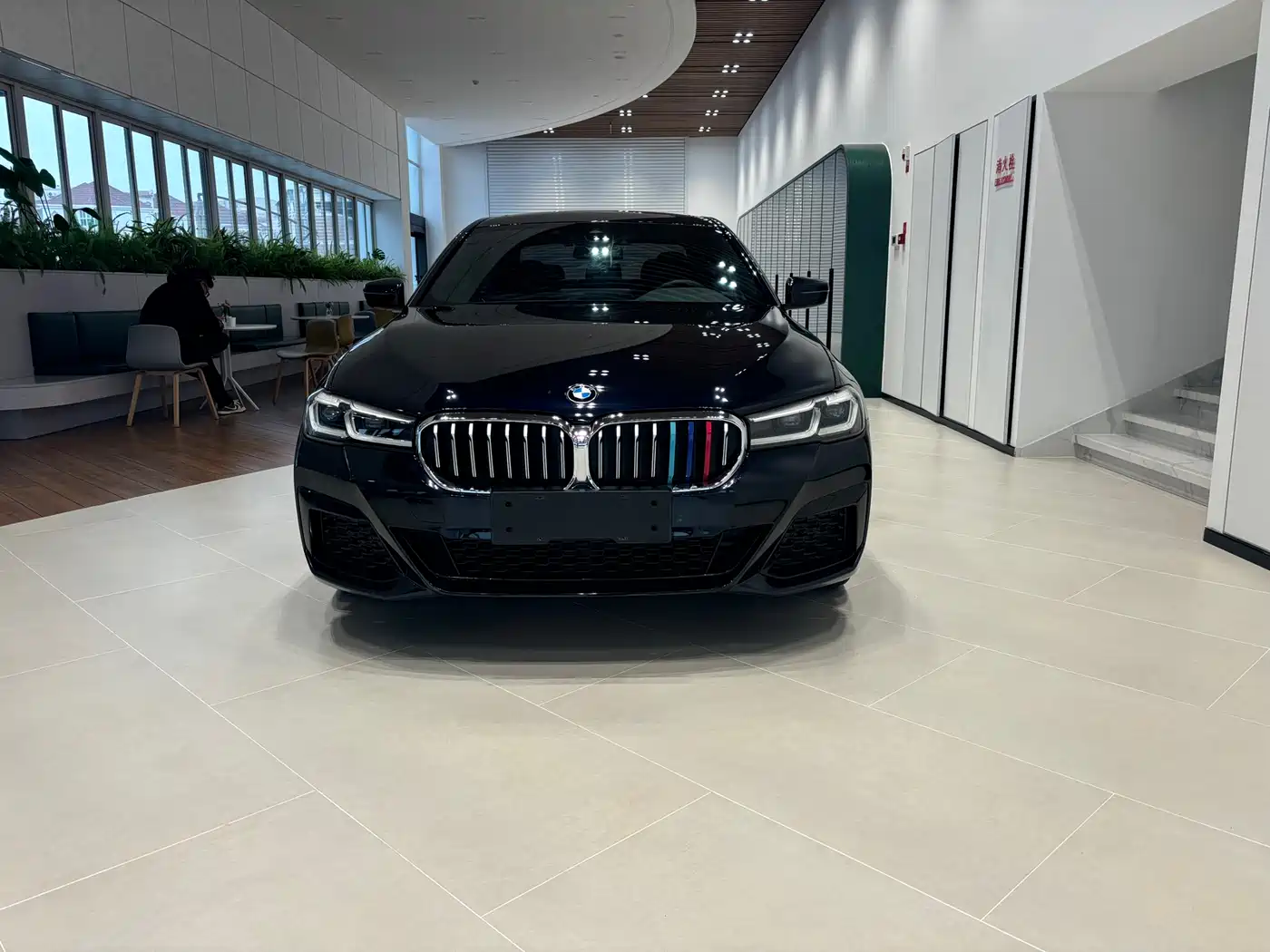 BMW 5 SERIES NEW ENERGY