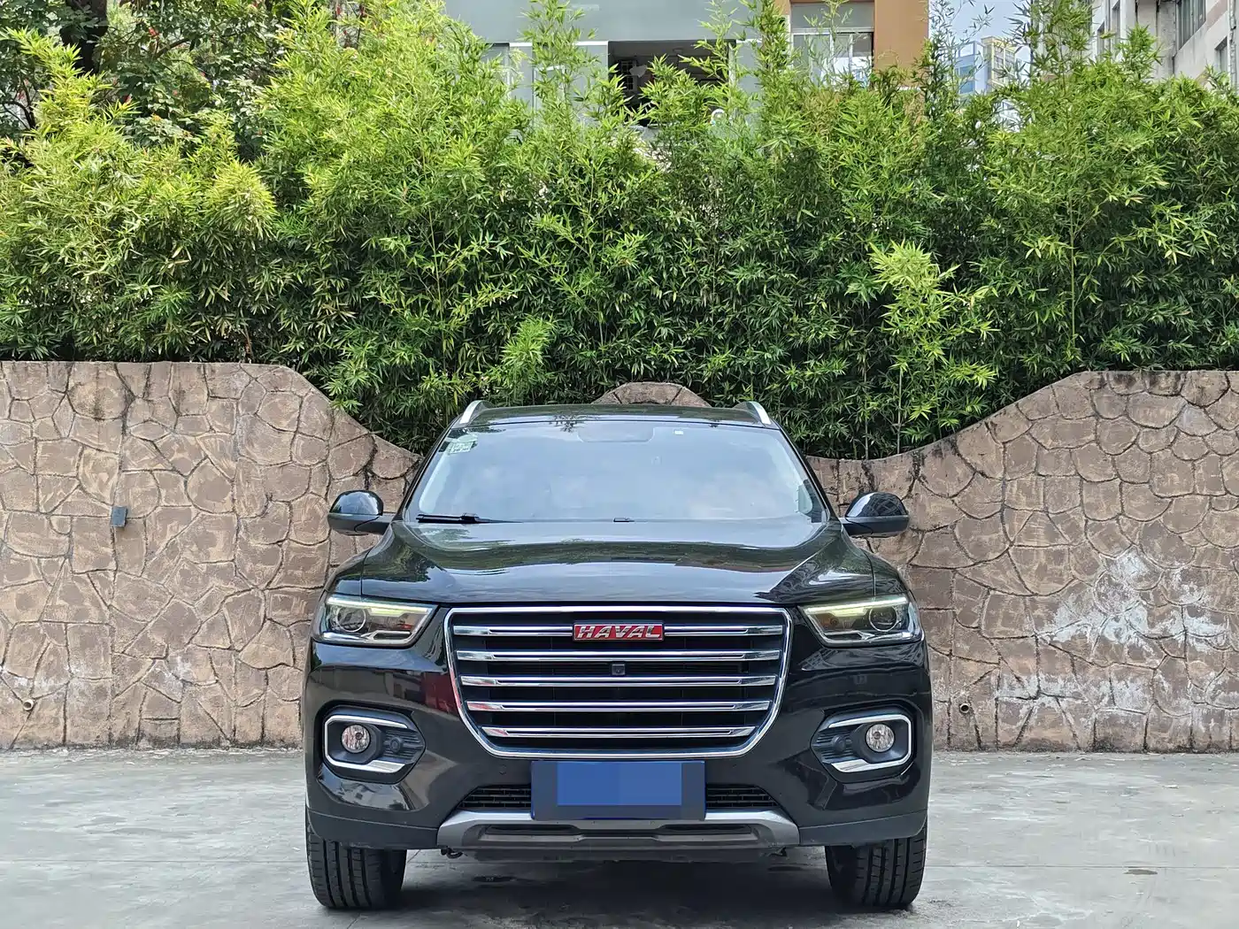 Haval H6 2018 Red Label 1.5T Automatic Luxury фото 2