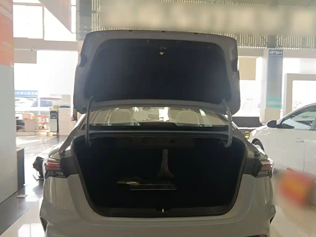 Фото 19 - Geely Binrui