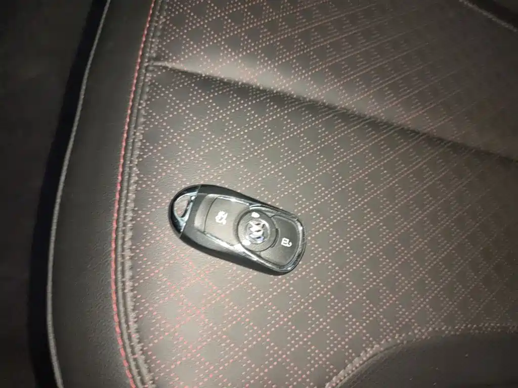 BUICK WEILANG