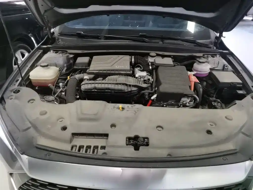 BYD Qin PLUS 2024 Glory Edition DM-i 55KM Surpass фото 20