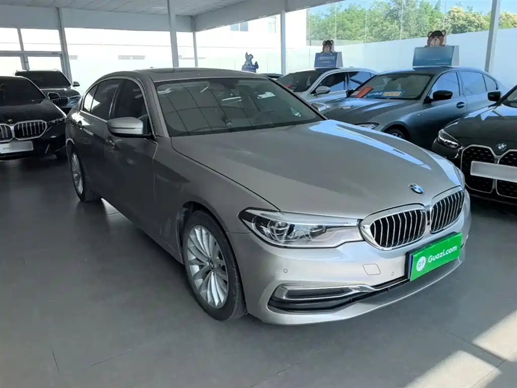 BMW 5 Series 2020 530Li Leading Luxury Package фото 4