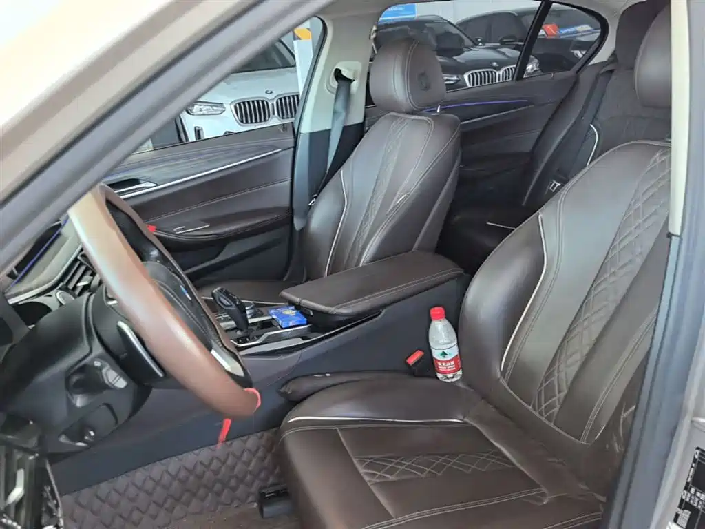 BMW 5 Series 2020 530Li Leading Luxury Package фото 15