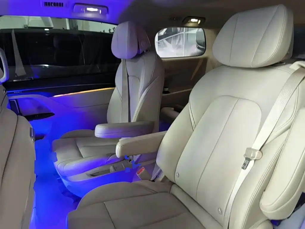 Buick GL8 2023 ES Landmaster Exclusive фото 13
