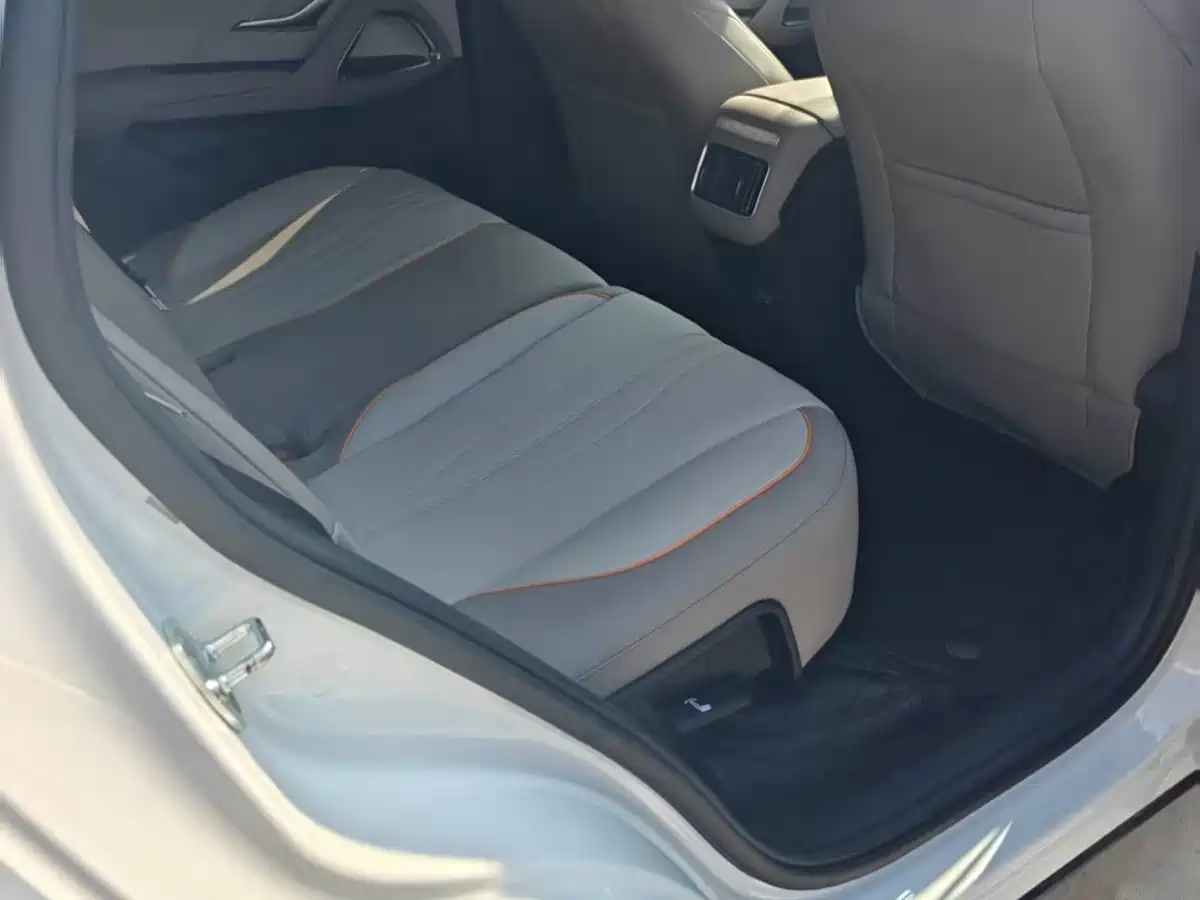BYD Song Pro New Energy 2025 2024 Glory Edition DM-i 71KM Pilot